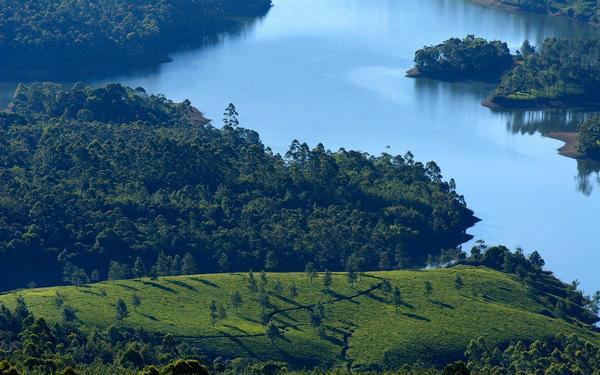 Munnar Dreams Hotel Zewnętrze zdjęcie