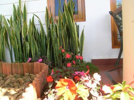 Munnar Dreams Hotel Zewnętrze zdjęcie